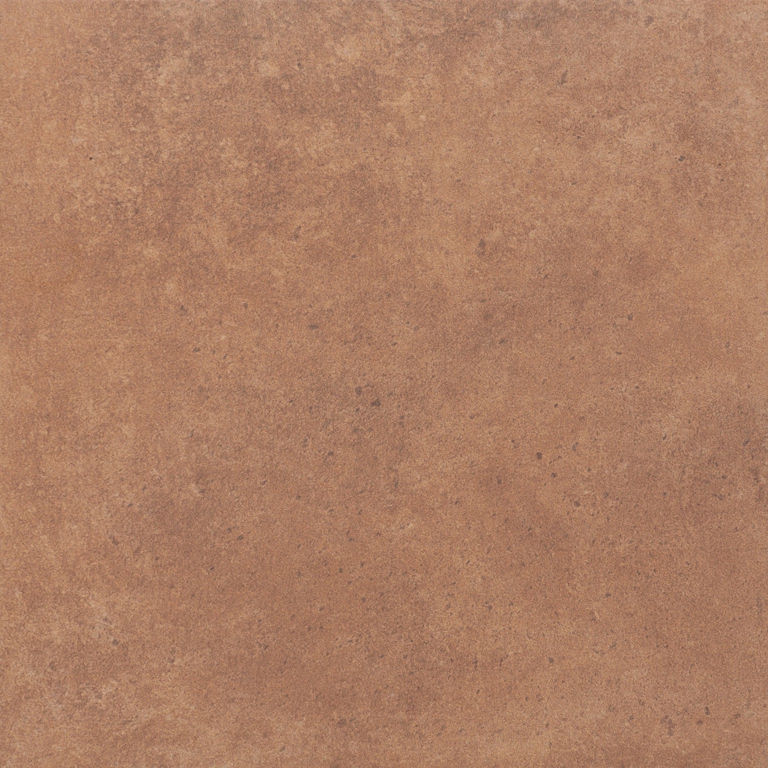 9137 На пол Cottage Curry