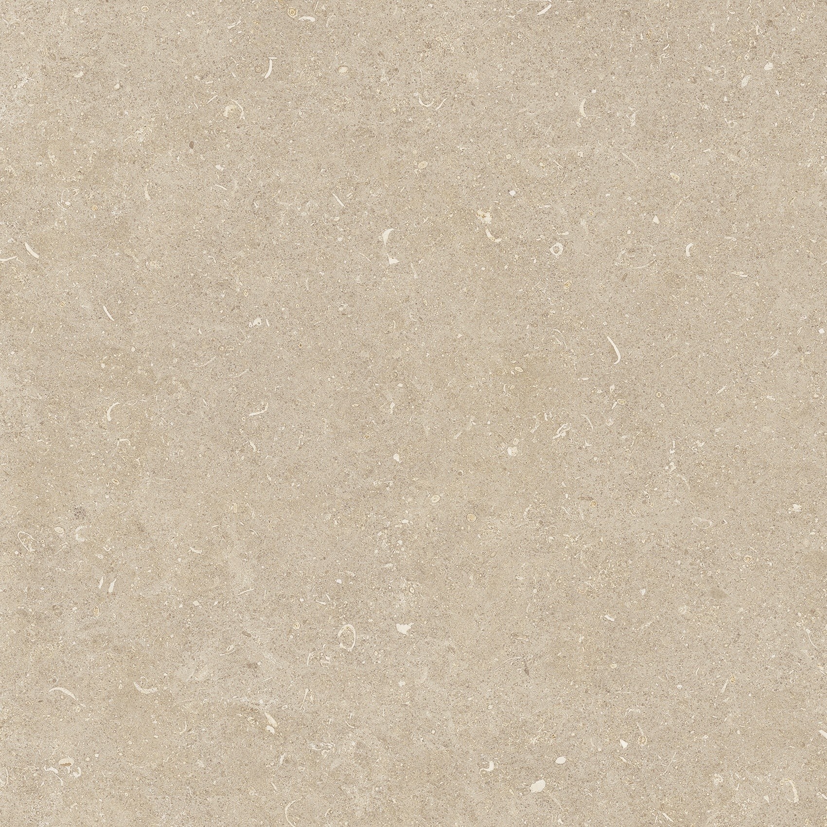 785485 На пол Rinascenza Arena Conchiglia Matte 60x60 - фото 10