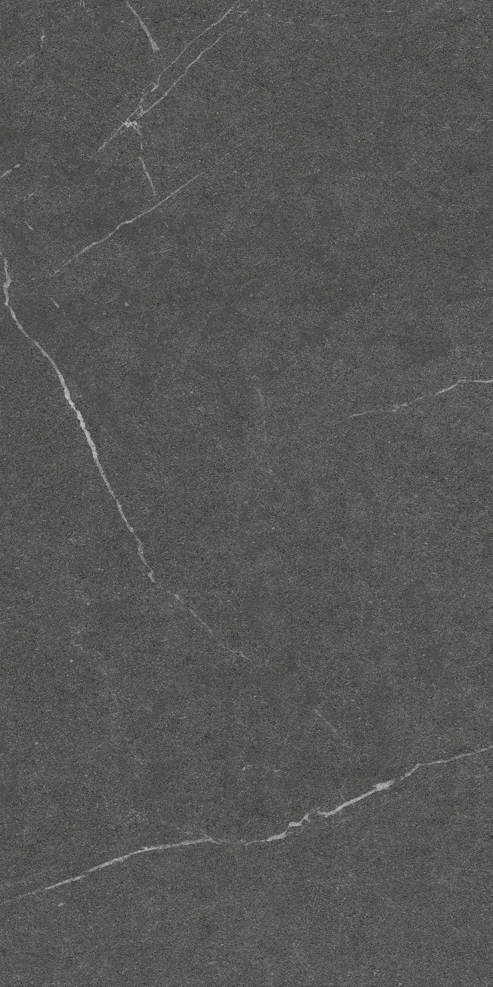 GT1206014305MCR На пол Lakeside Черный 60x120 - фото 6