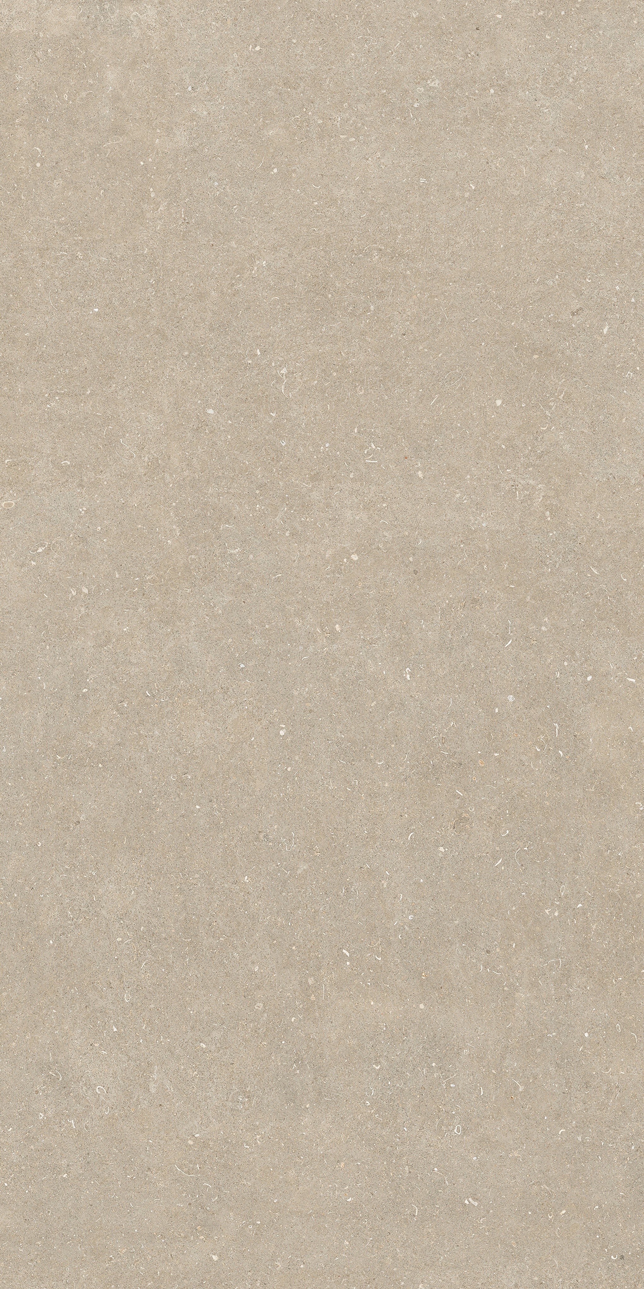 785583 На пол Rinascenza Arena Conchiglia Matte 6mm 120x240 - фото 3