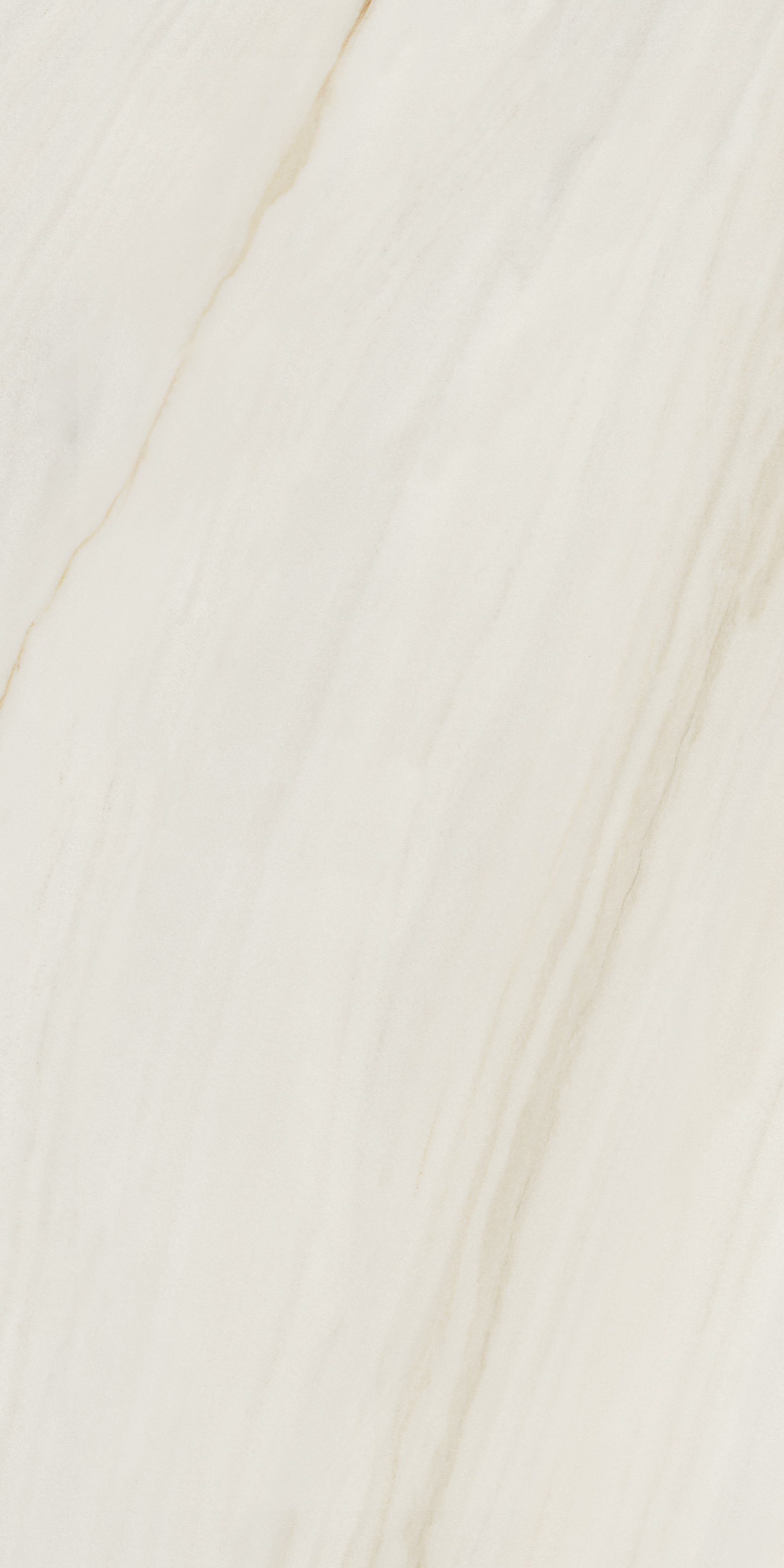 AIAO На пол Anima Wonder Snow Liscio Matt 60x120 - фото 7