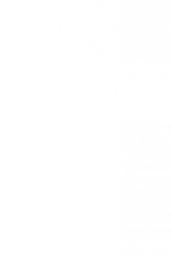 11037TR На стену Парус Белый матовый обрезной