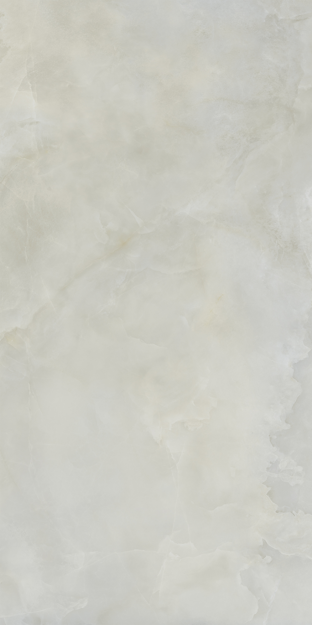 AIAX На пол Anima Ever Royal Onyx Matt RT R10B 60x120 - фото 5