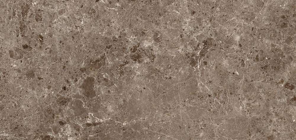 78RC27P На пол Coverlam Artic Moka Pulido 120x260 - фото 2