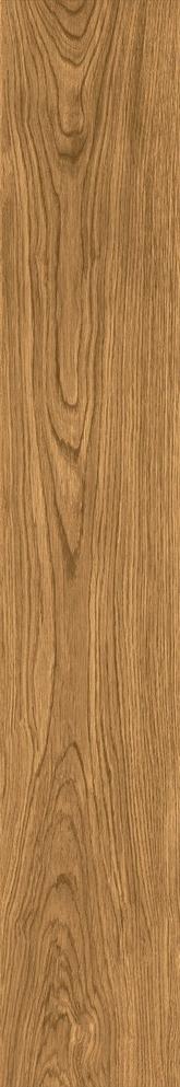 CAI7 На пол Izumi IZ07 Miele Selezionato SP SQ 20x120