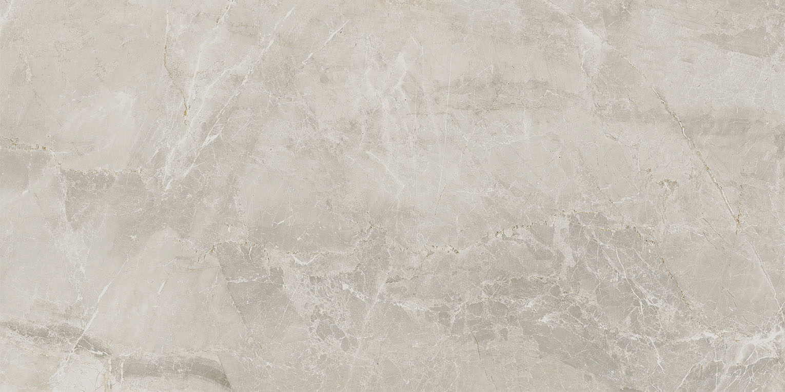 83330 На пол Sybil Light Grey Rettificato 120