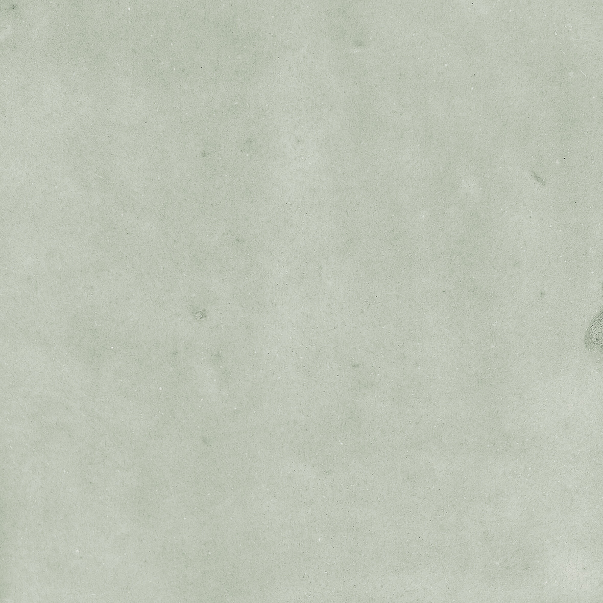 43290 На стену Samira Mint 10x10