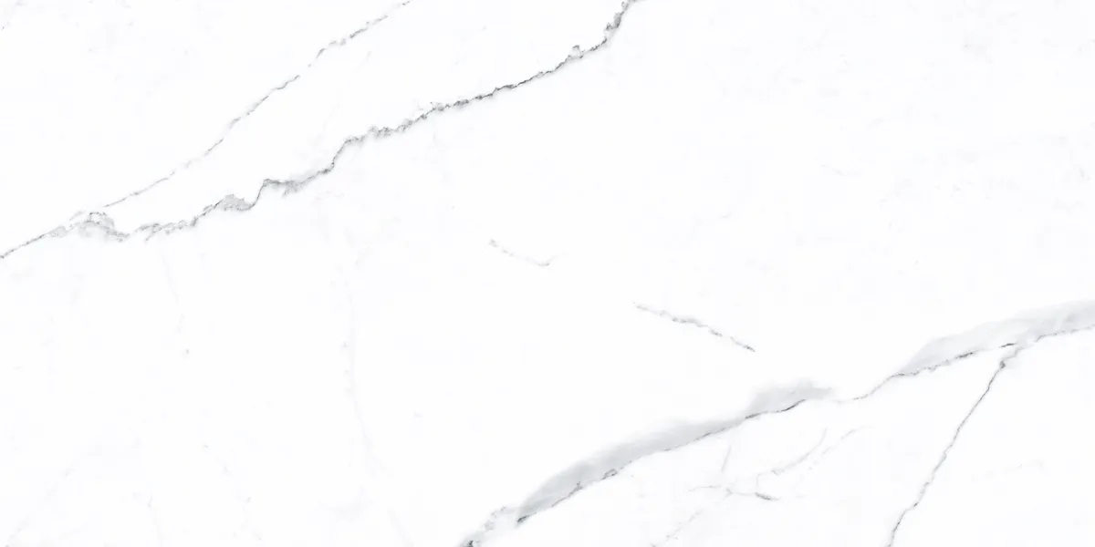 P0003810 На пол Idyllic Statuario White Starlight 120x60 - фото 3