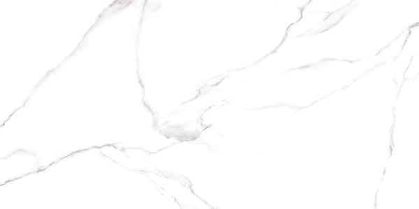 GFU60120CRR00R Напольный Carrara Белый матовый 120x60