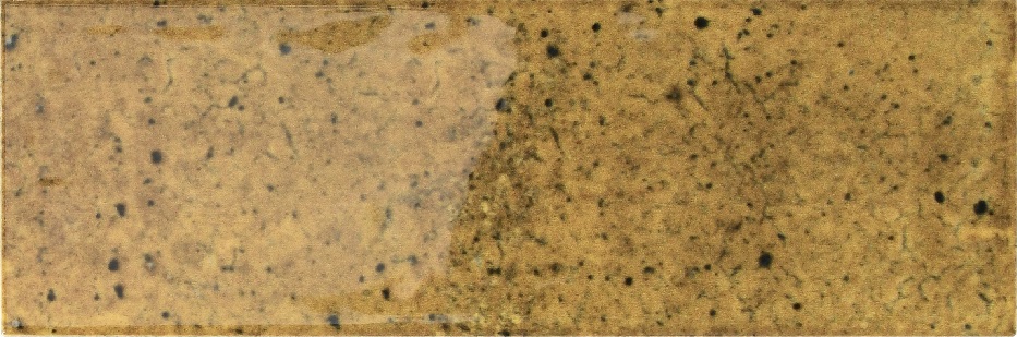 На стену Jazz Ginger 7.5x22.5