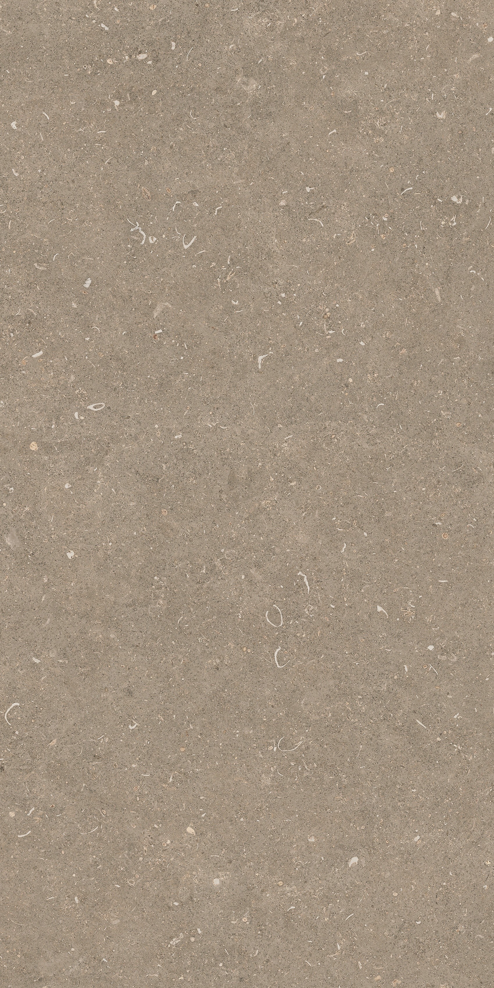 785482 На пол Rinascenza Arena Pietra Matte 60x120 - фото 2