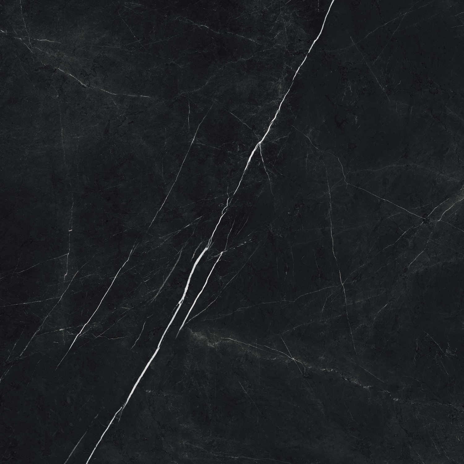 610015000651 На пол Forte dei Marmi Elegant Black 80x80 - фото 2