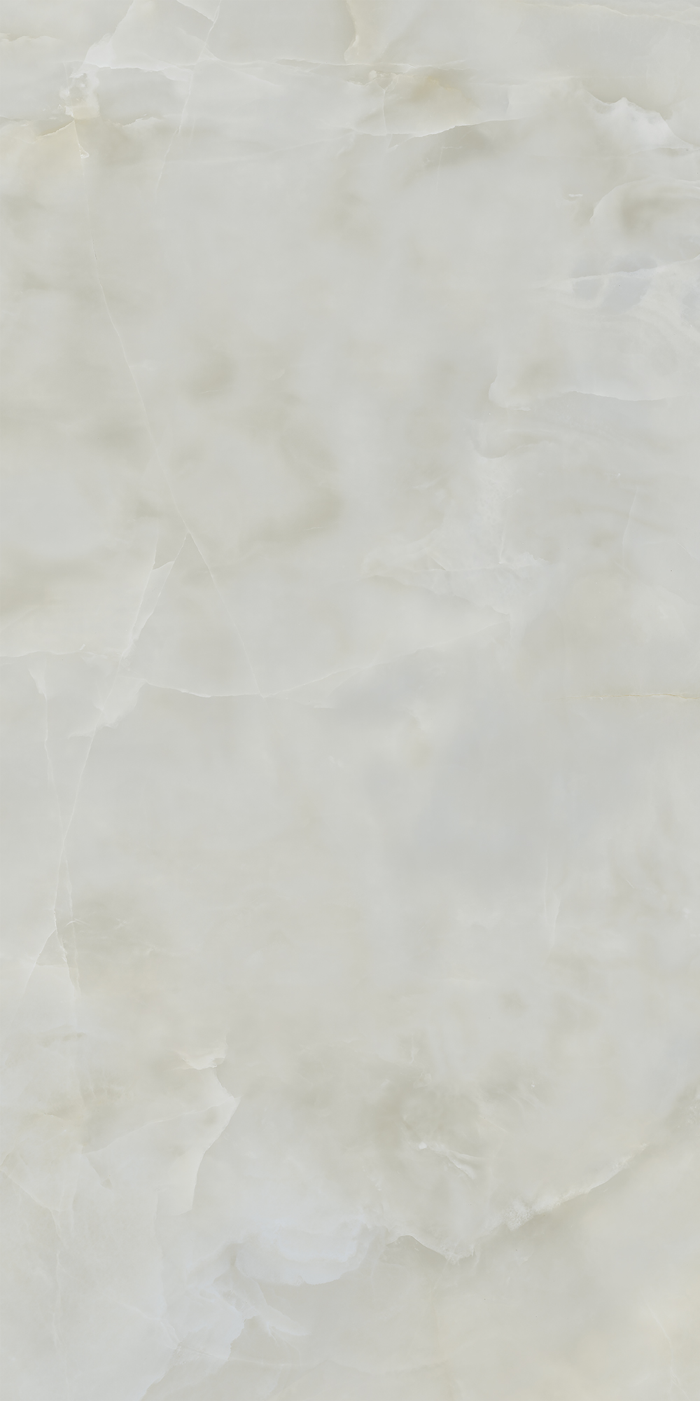 AIAX На пол Anima Ever Royal Onyx Matt RT R10B 60x120 - фото 7