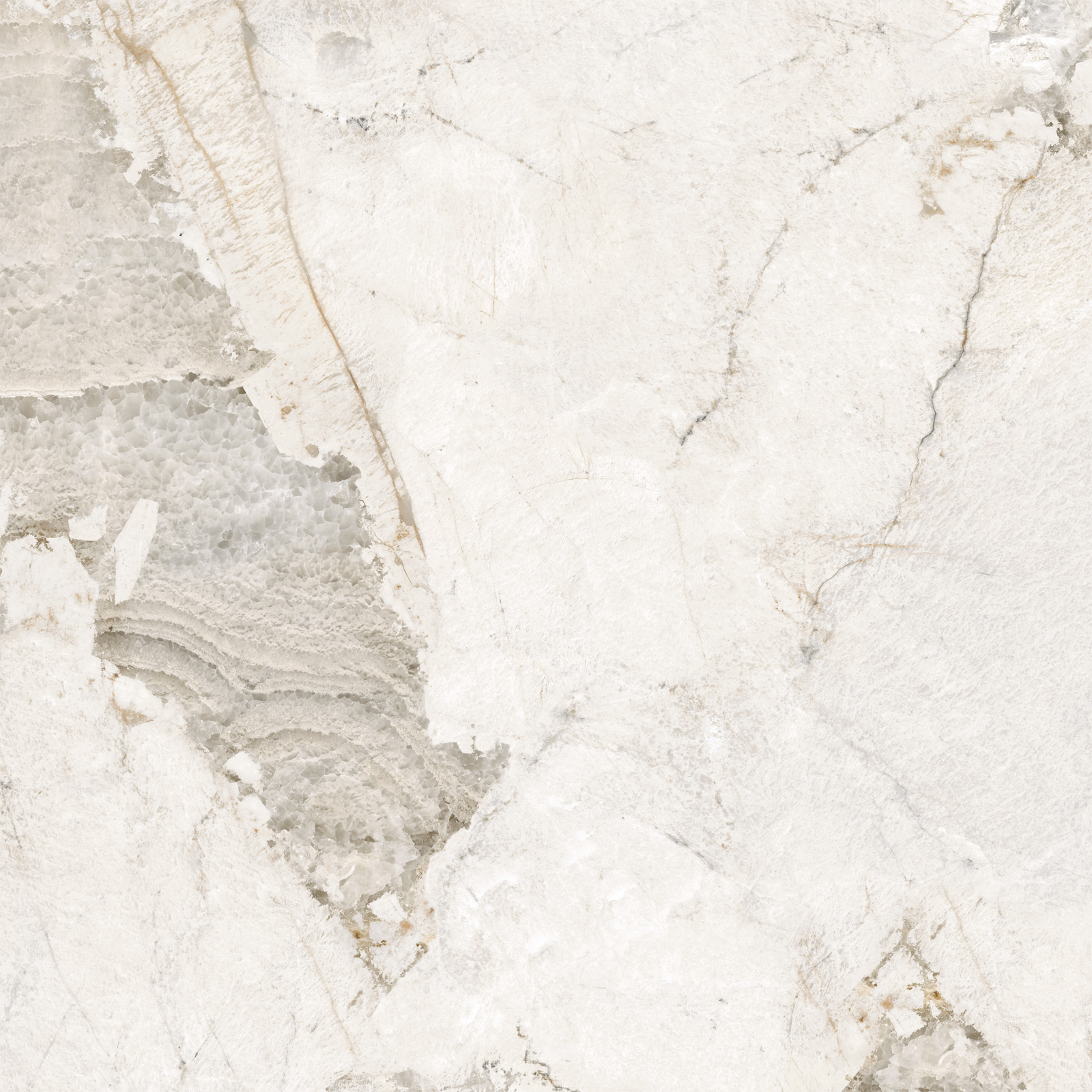 D60256М На пол Seashell Матовый 600x600x9.5 - фото 14