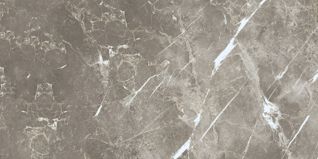 ECC2 На пол Elements Lux Persian Grey Silk RT 60x120 - фото 6