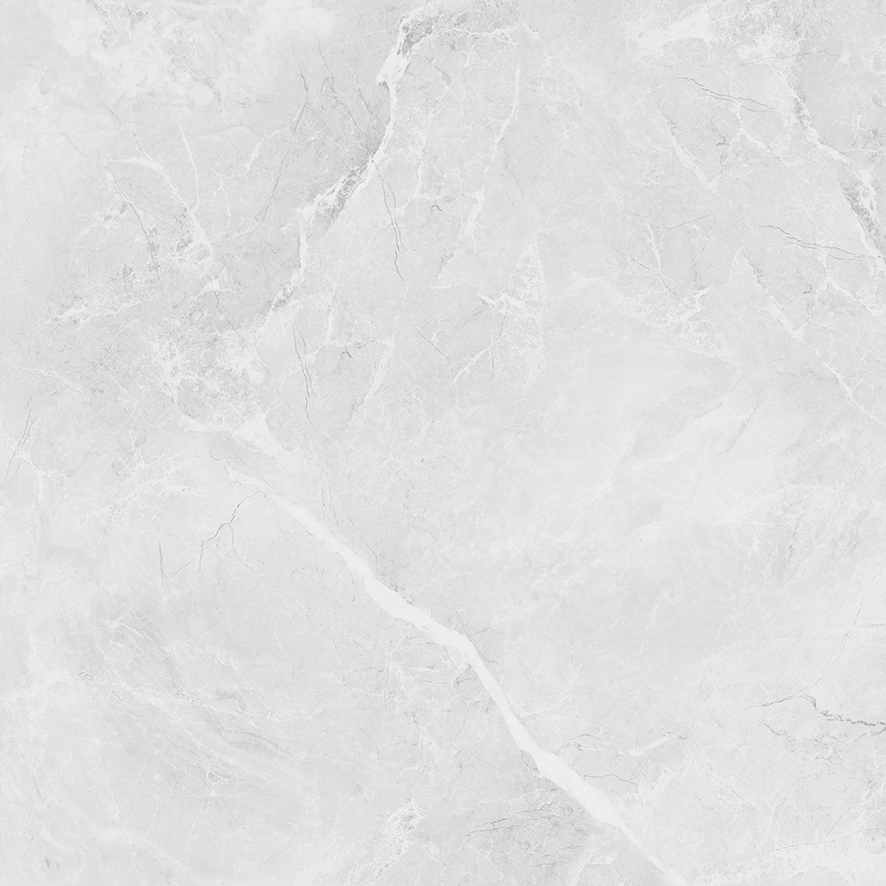 LP6060G0241R На пол Berna Silver светло-серый матовый 59.5х59.5 - фото 3