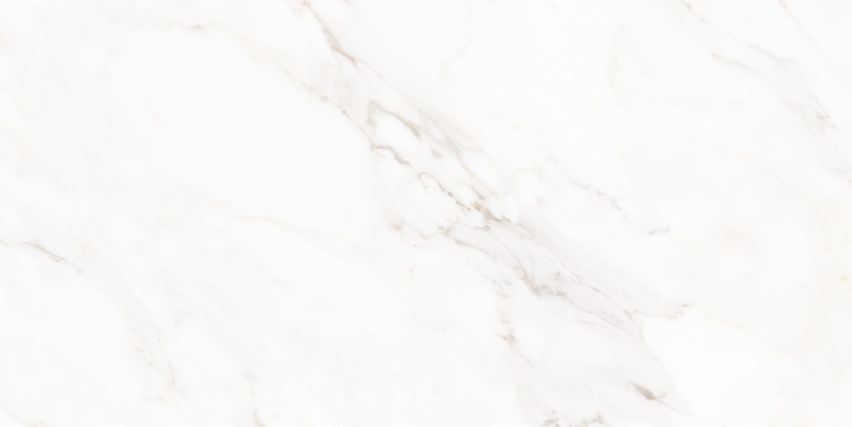 N40059 На пол Classic Marble Calacatta Polished 60x120 - фото 3