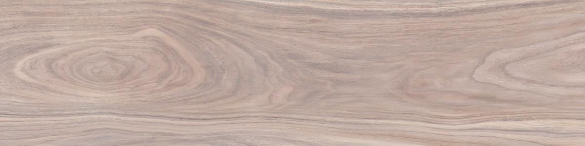 WD09 На пол Forest Crema 20x80 - фото 8