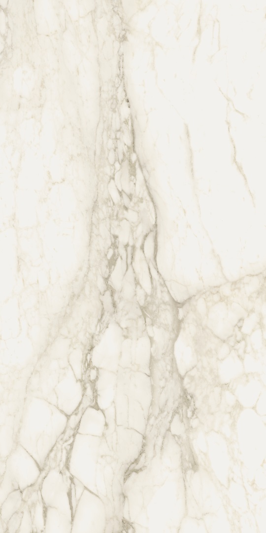 610015000672 На пол Eternum Carrara Lux 80x160 - фото 6