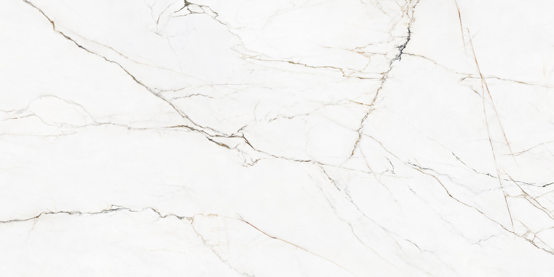 004.350.01 На пол Torano Dorado 150