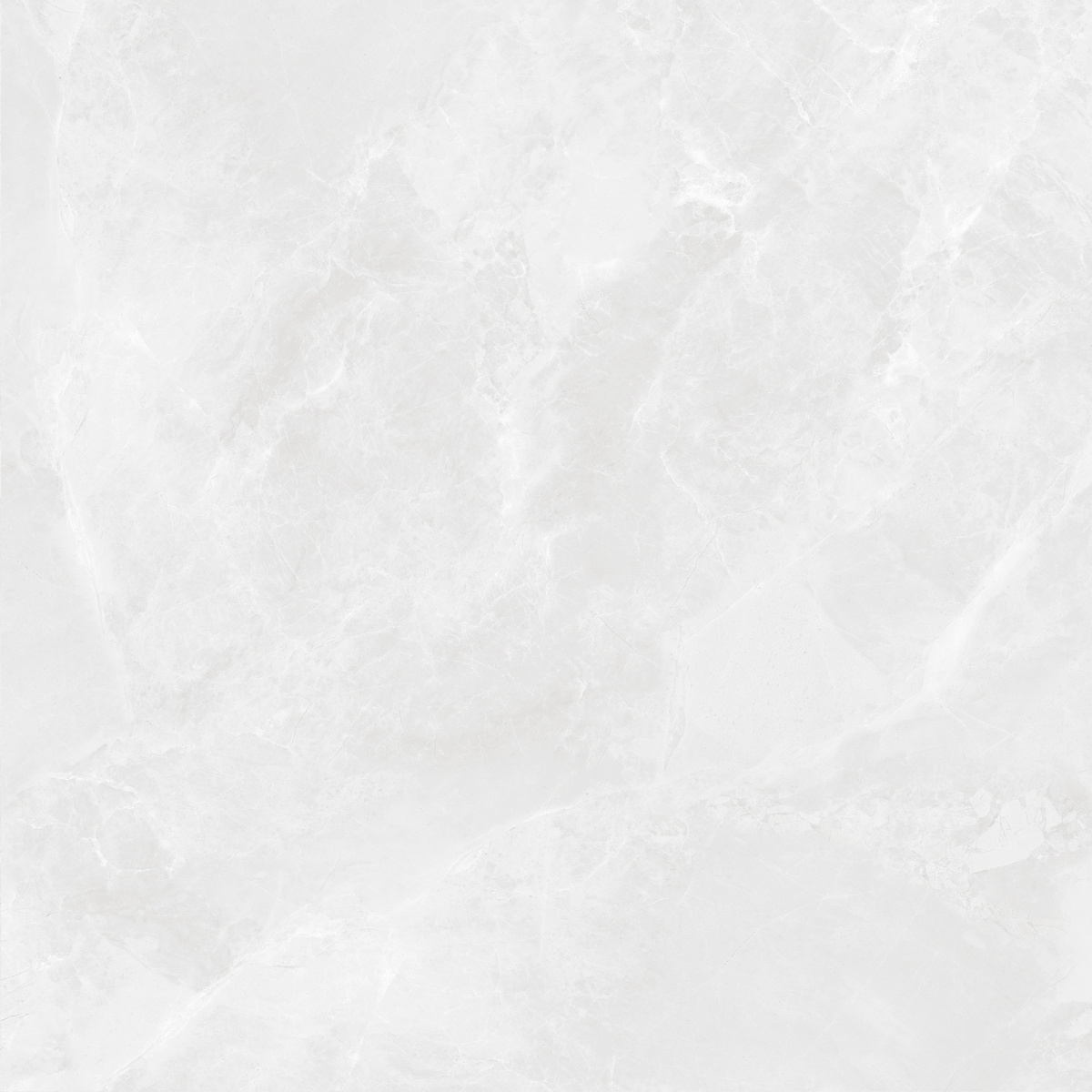 CR6060G0391R На пол Regnum Bianco светло-серый матовый 59.5х59.5 - фото 7