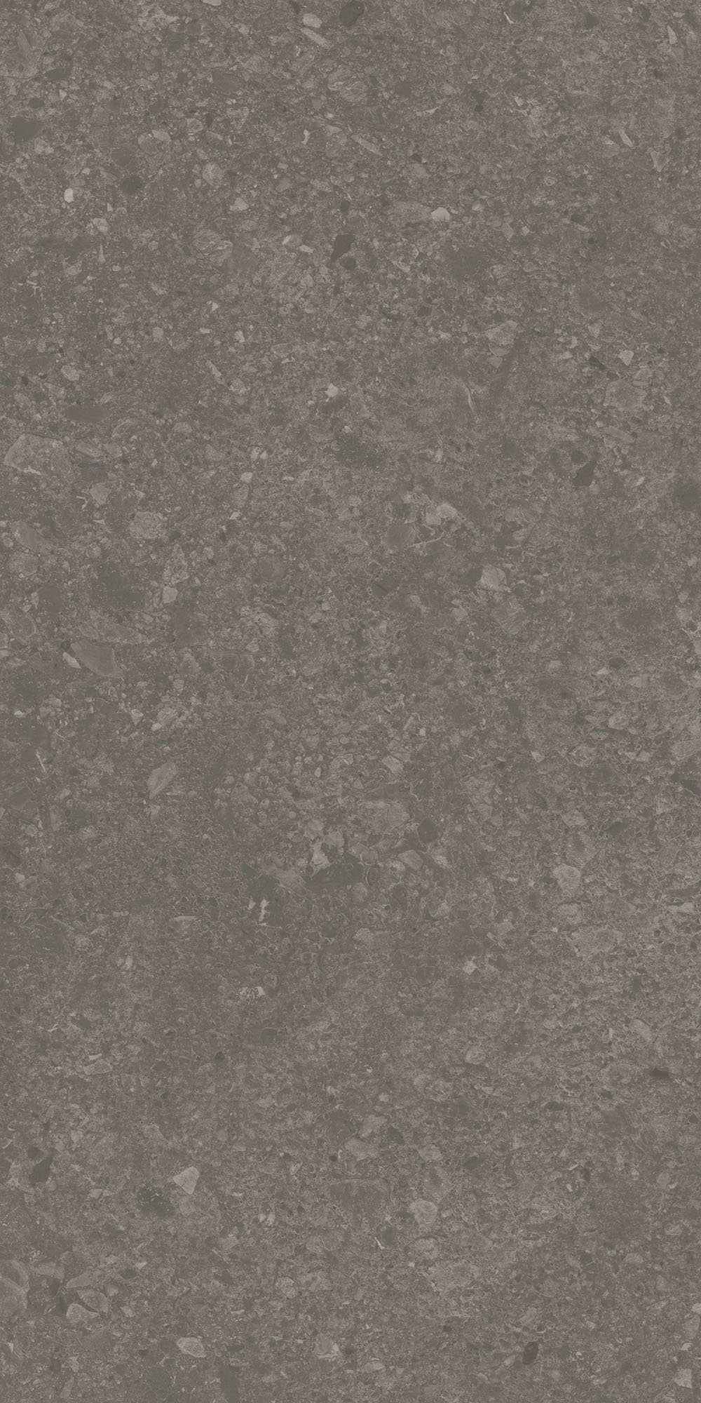 DD591720R На пол Чеппо ди Гре Коричневый матовый обрезной 119.5x238.5x0.9 - фото 2