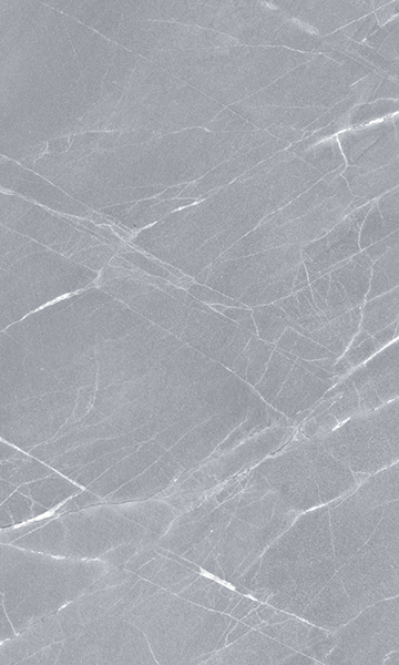 010100000350 На стену Elegance Grey wall 02 - фото 5