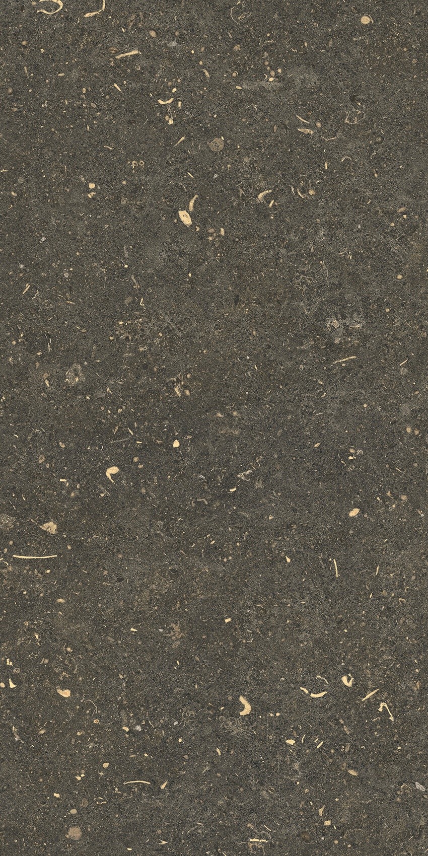 785491 На пол Rinascenza Arena Platino Matte 30x60