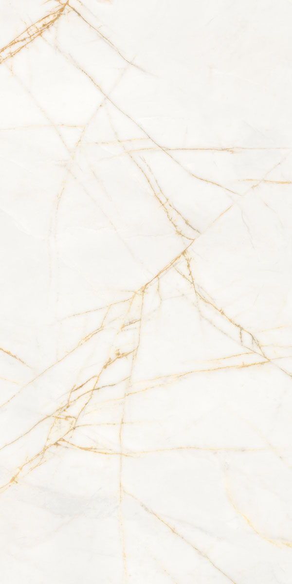 PF60017518 На пол Supreme Hedonism Golden Spider Nat R 60x120 - фото 7