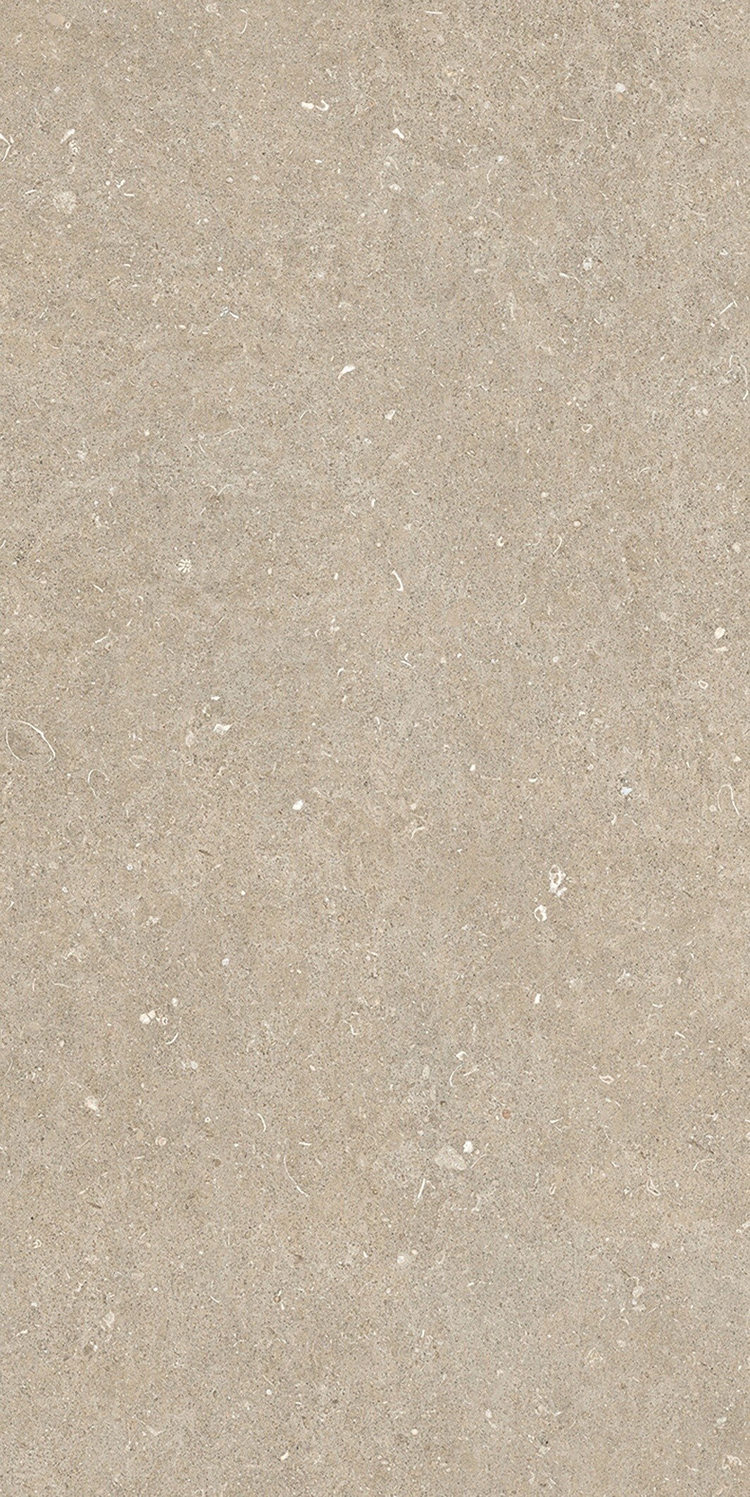 785575 На пол Rinascenza Arena Conchiglia Matte 6mm 60x120 - фото 7