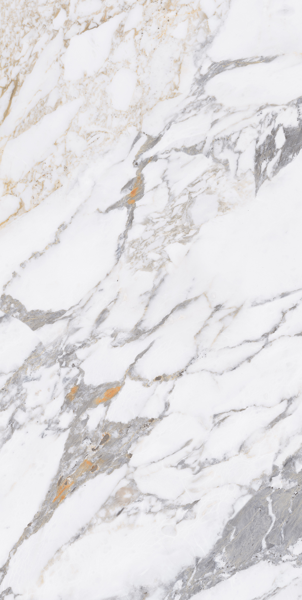 На пол Arabescato Silver Glossy 60x120