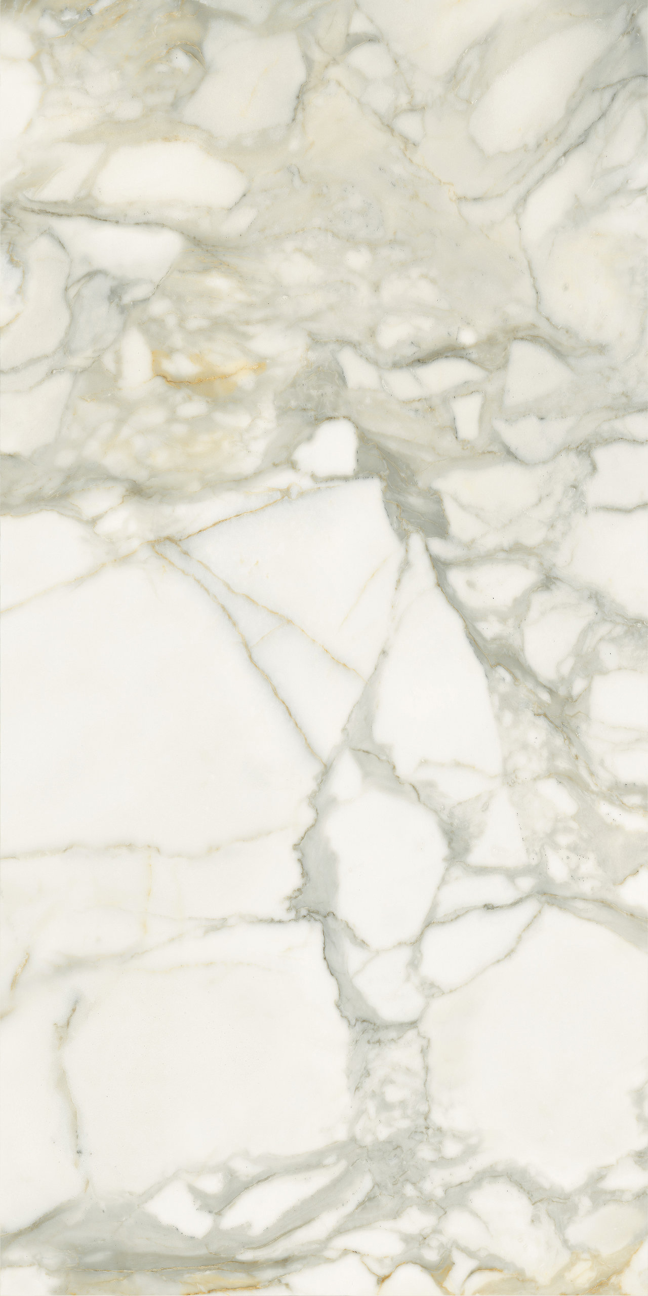 P628365 На пол Select Calacatta Oro Natural 8mm 60x120 - фото 3