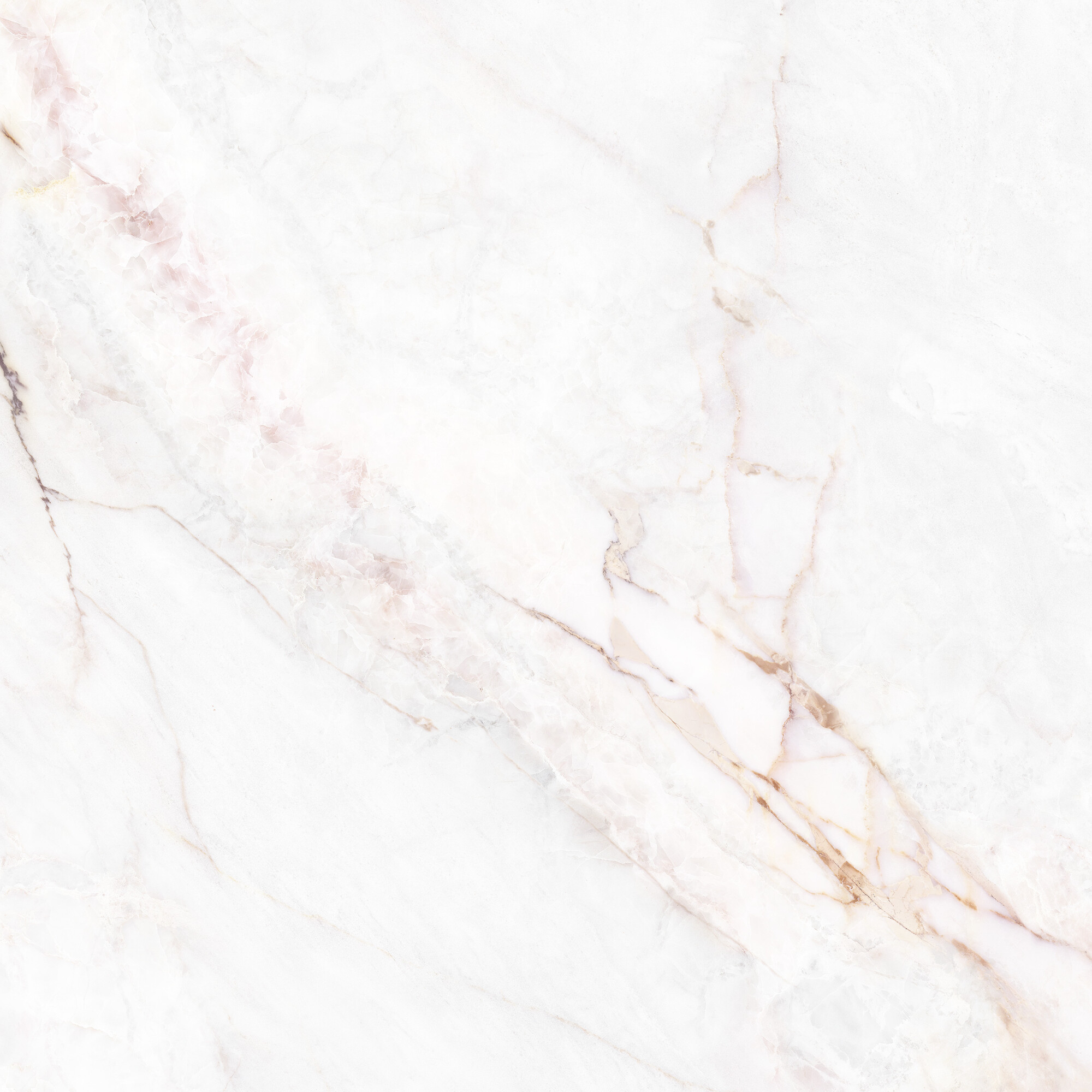 41431 На пол Museum Dahlia White SP/100X100X0.8/R 100x100 - фото 10