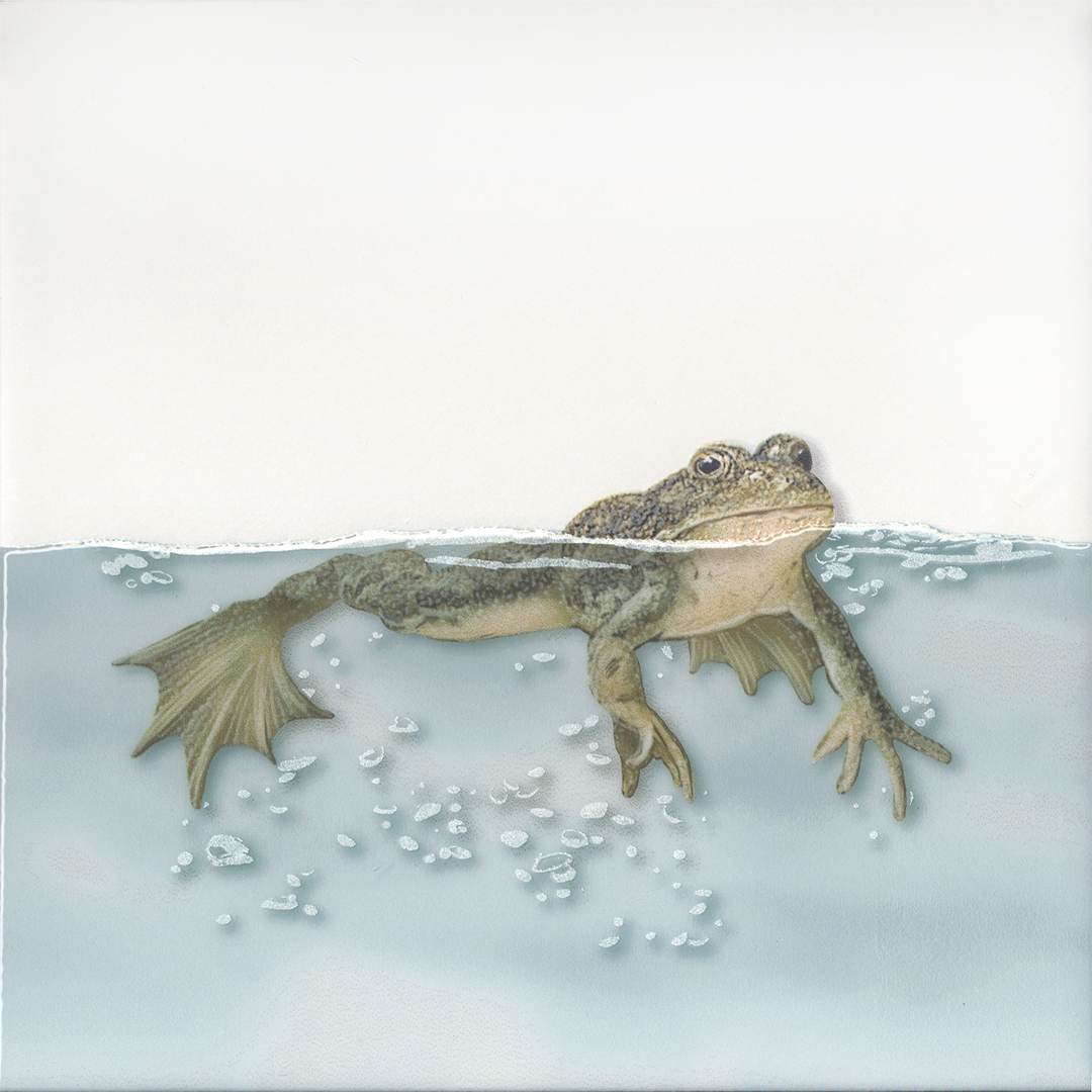 VT/A472/5009 Декор Чудо-озеро 5