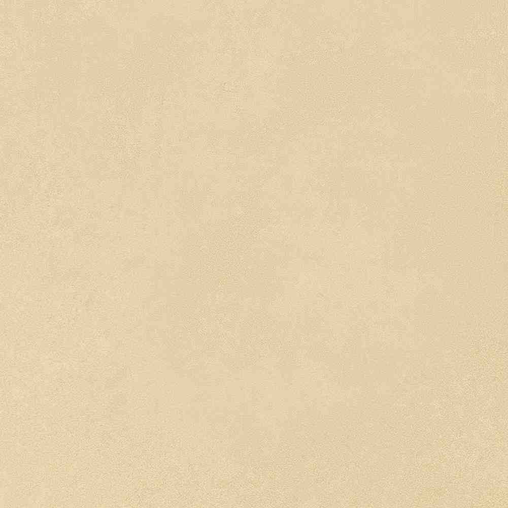 ENCLR6079MT2020 На пол Levels Avorio Matt 200х200х8 - фото 7