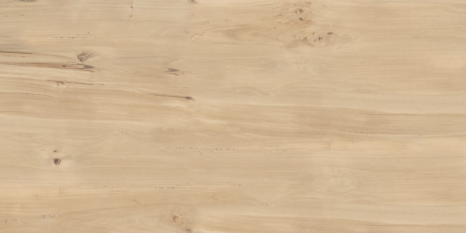 FVL4511M На пол Forest Sweet Home Matt 60x120 - фото 5