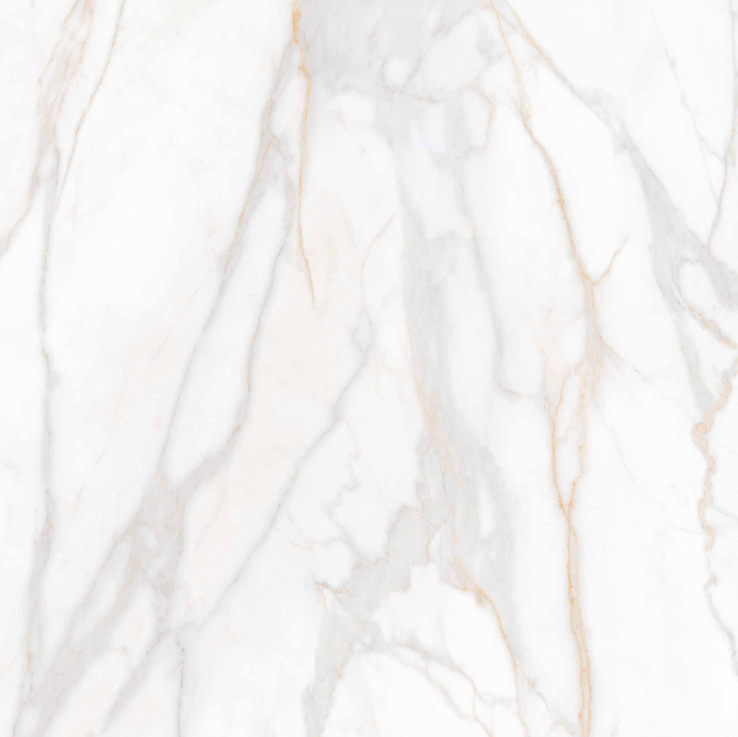 На пол Supreme Gold неполированный 80x80 - фото 7