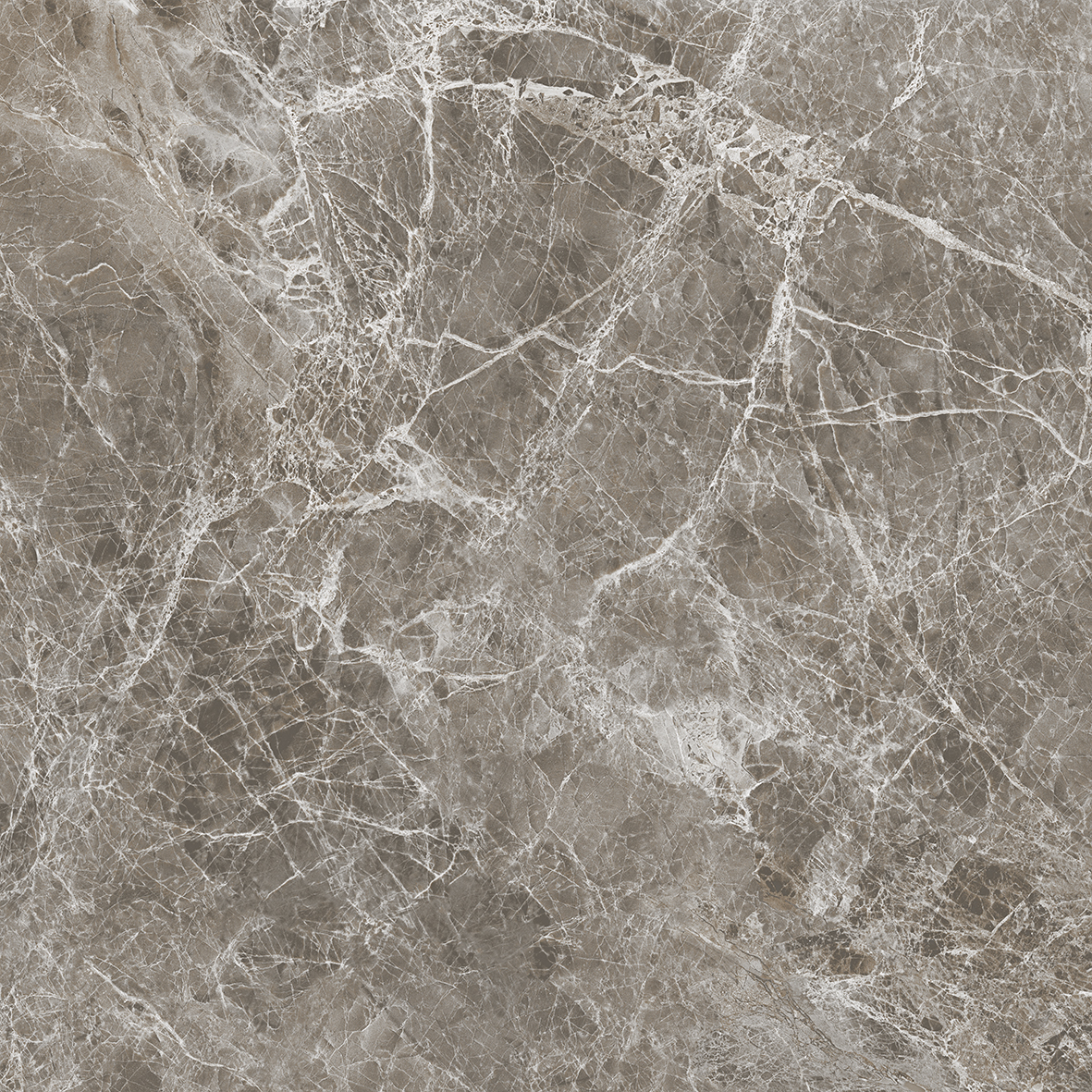 NR0386 На пол Tasos Коричневый Матовый 60x60 - фото 3