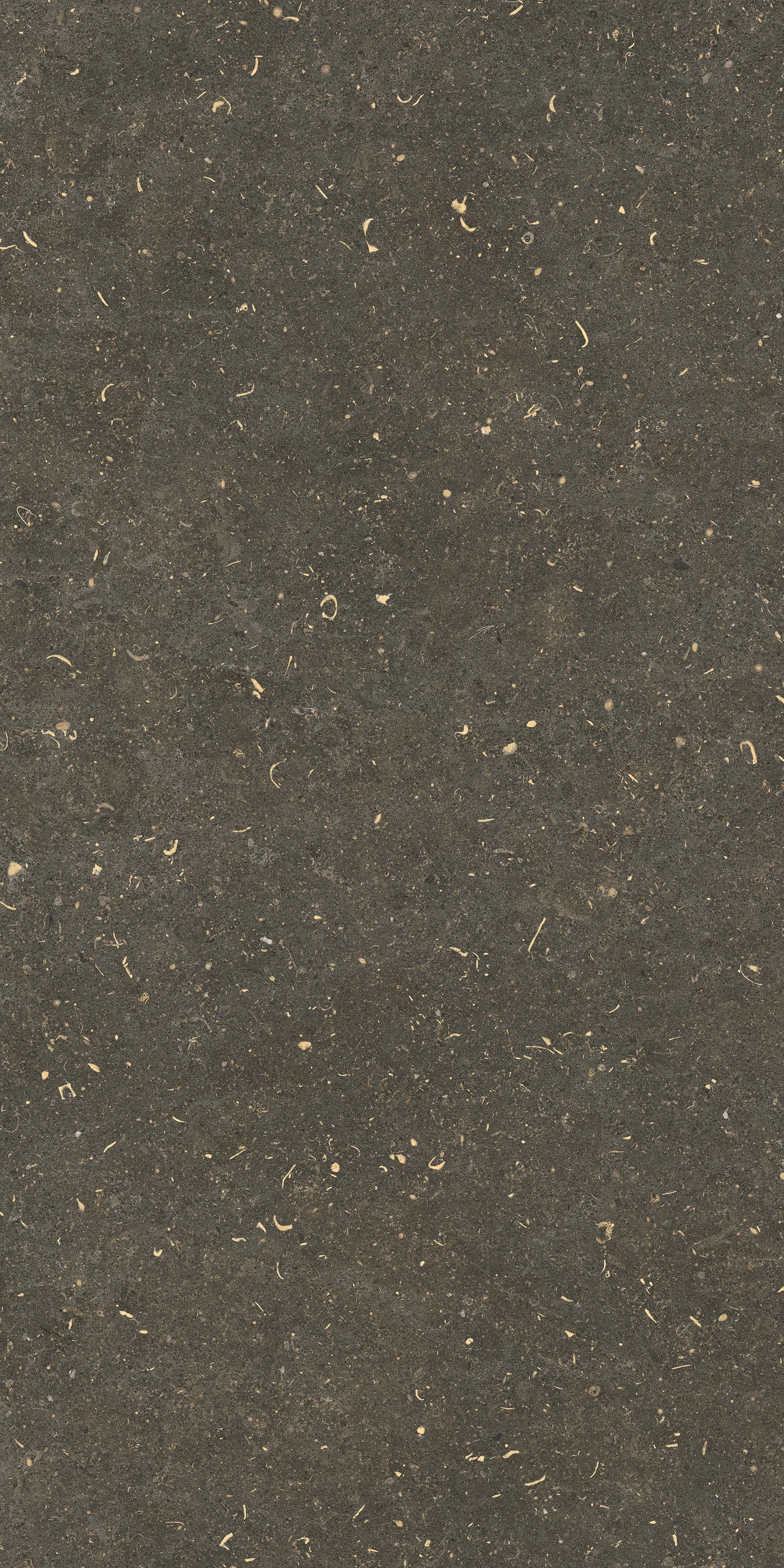 785495 На пол Rinascenza Arena Platino Grip 60x120 - фото 10