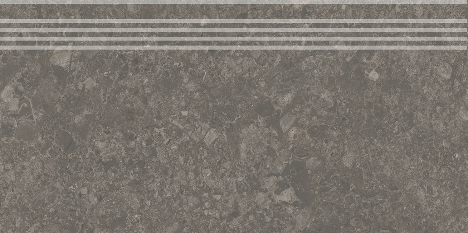 DD606320R/GR Ступень Чеппо ди Гре Коричневый матовый обрезной 30x60x0.9 - фото 2