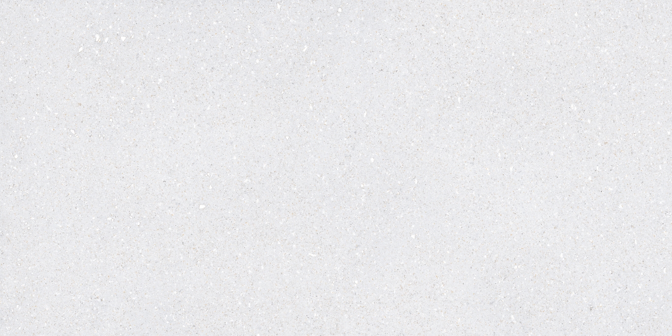 На пол Sassy White Rec 60x120 - фото 2