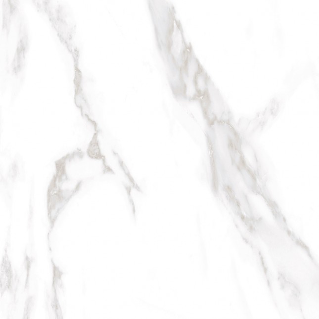 GRS01-19 На пол Ellora Lotus 60x60 - фото 7