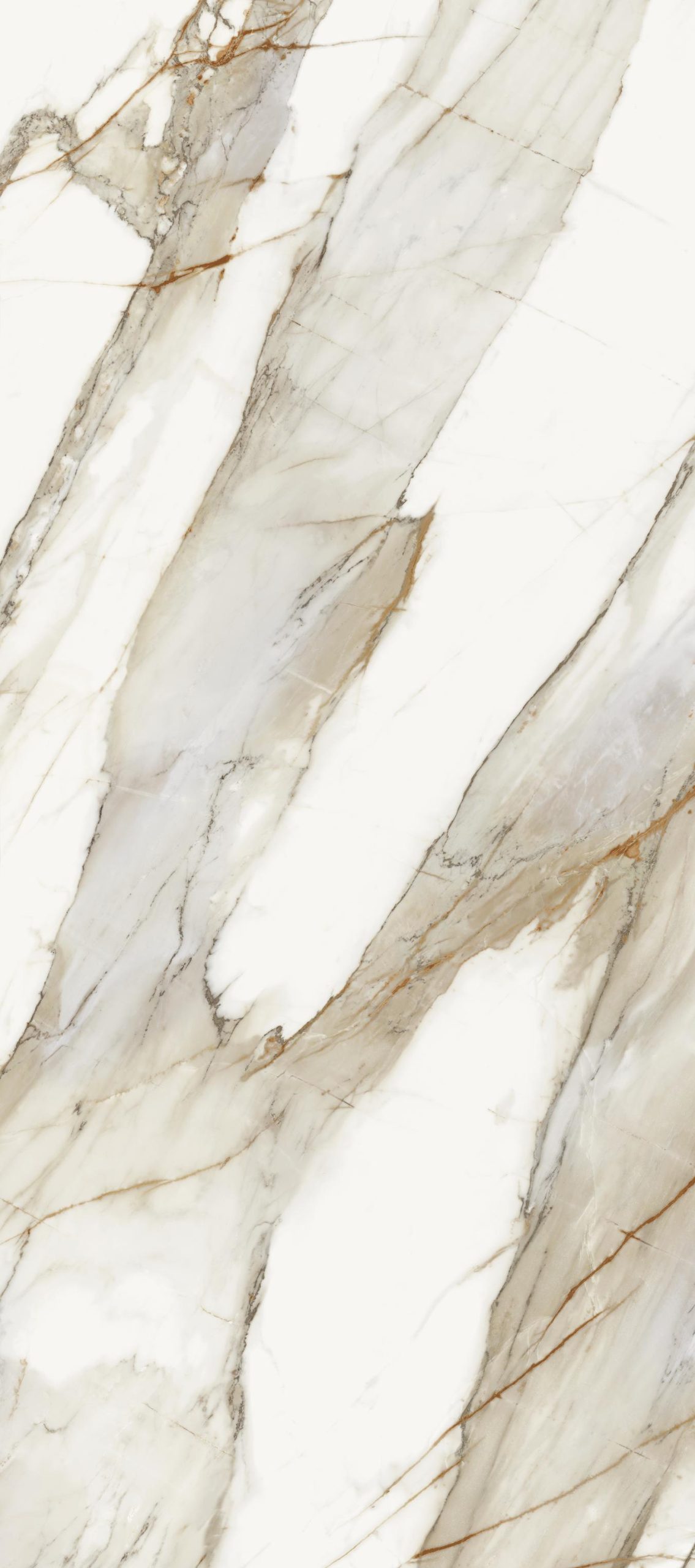 78MV08P На пол Macchia Vecchia Pulido 5.6mm 120x278 - фото 2