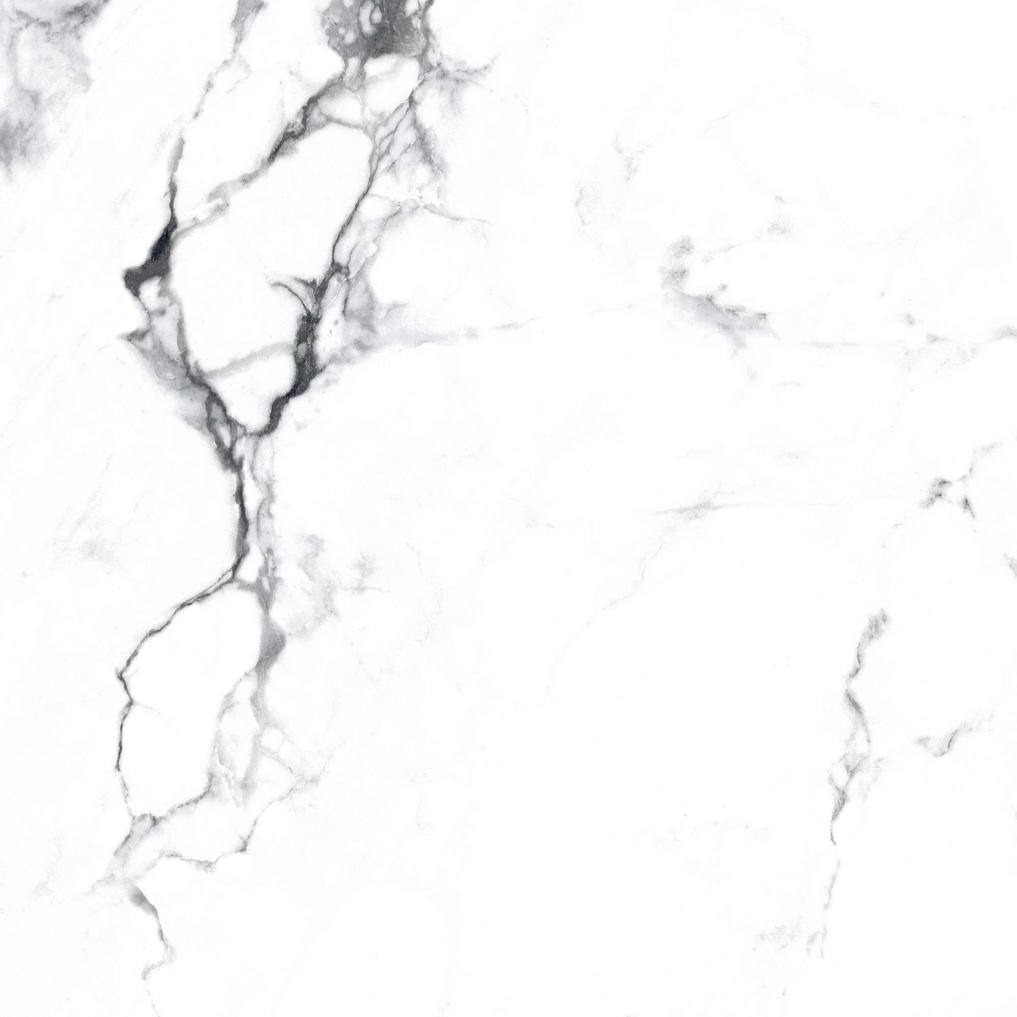 CR4006-A На пол Borghini Silver Carving 60x60 - фото 13