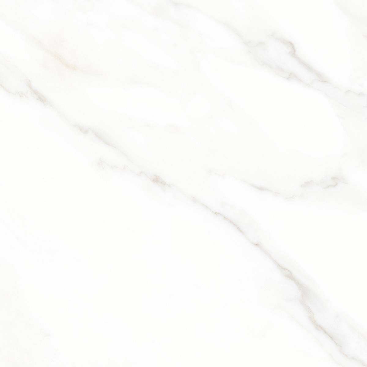 K952677LPR01LPER На пол Calacatta Michael Белый матовый 60х60 - фото 7