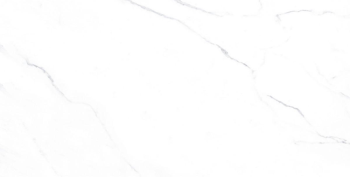 ENMAR1005MT60120 Напольный Marble Carrara Bianco Matt