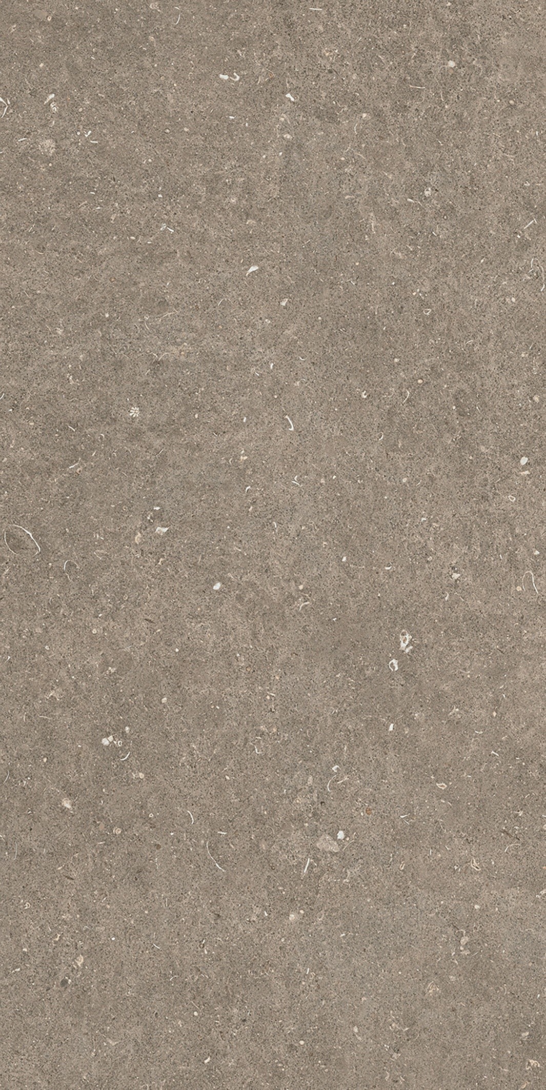785576 На пол Rinascenza Arena Pietra Matte 6mm 60x120 - фото 7