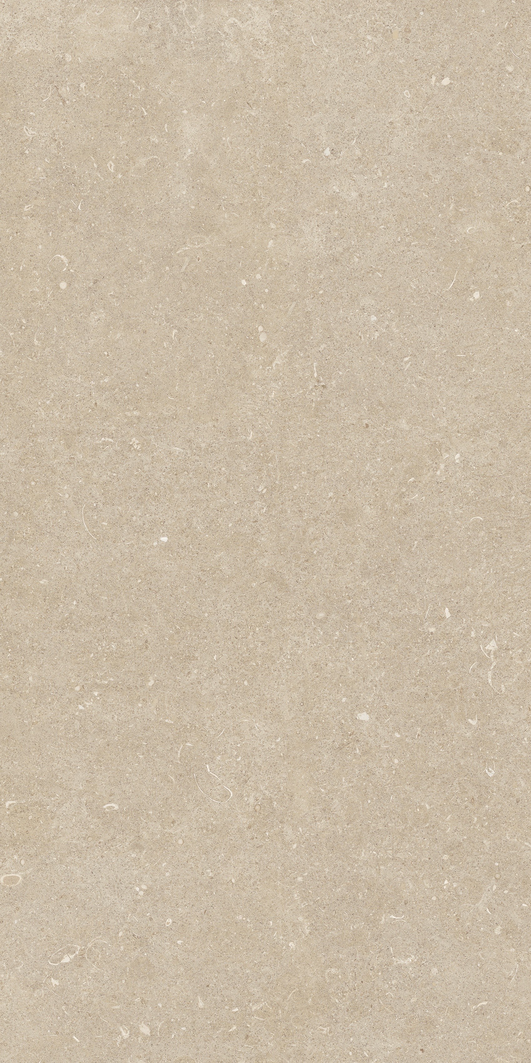 785493 На пол Rinascenza Arena Conchiglia Grip 60x120 - фото 10