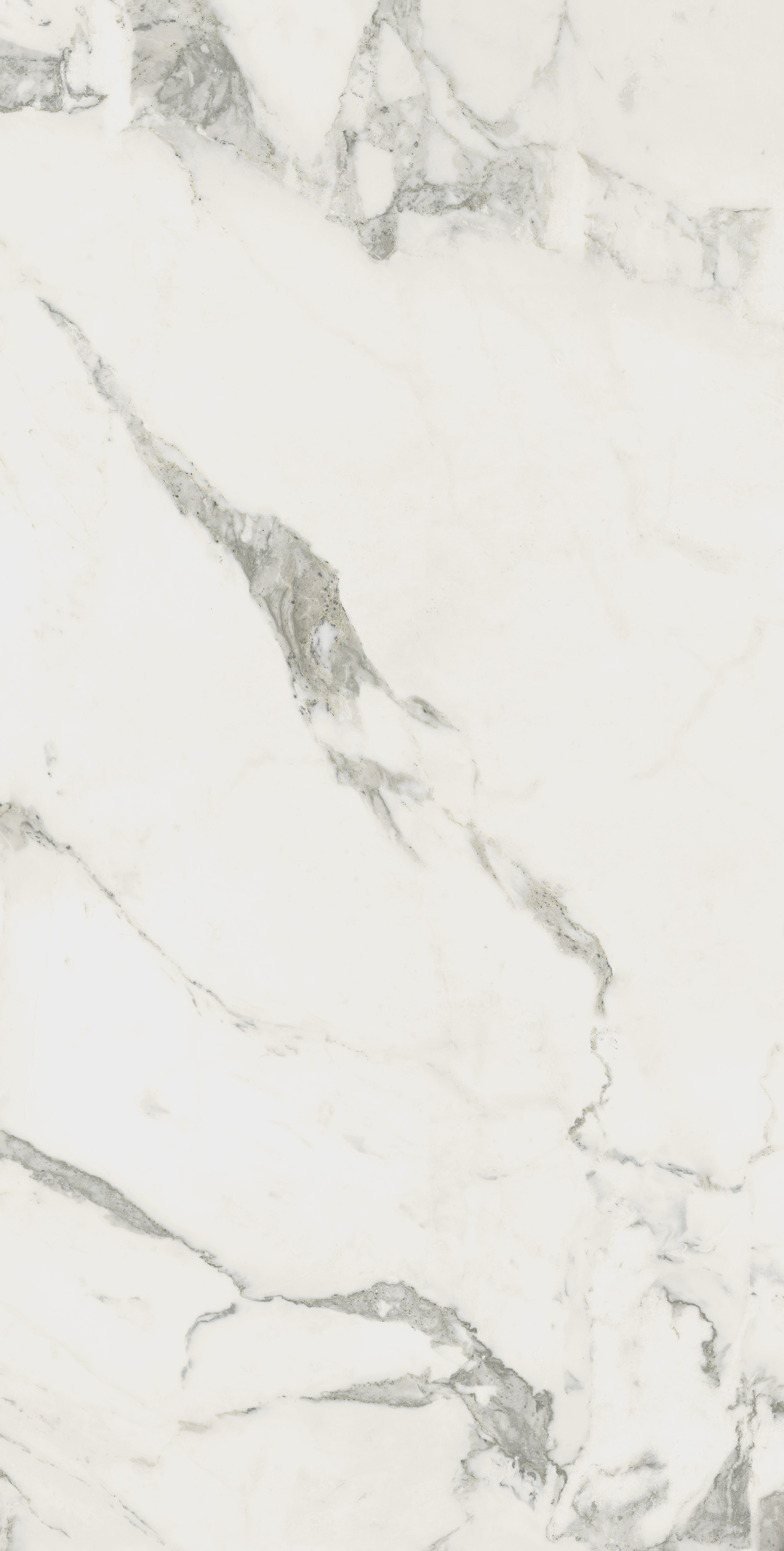 610010002746 На пол Michelangelo Колд 60x120 - фото 5