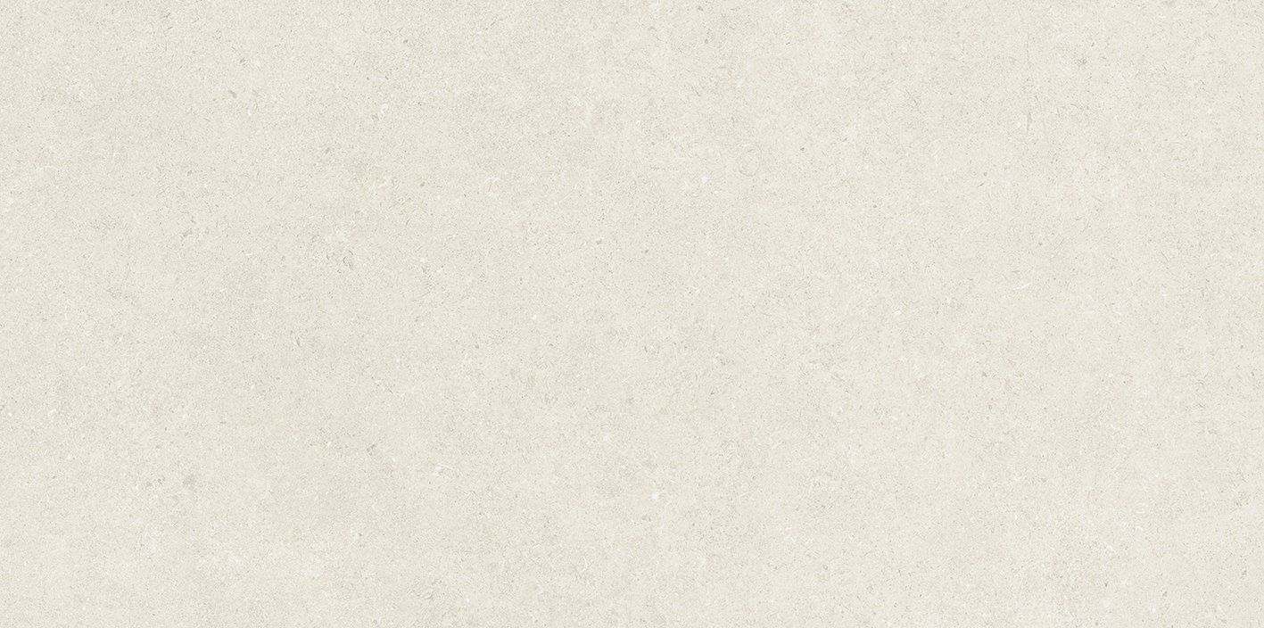 100355127 На пол  Caliza L 59.6x120